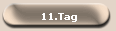 11.Tag