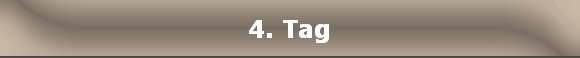 4. Tag