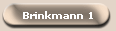 Brinkmann 1