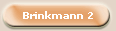 Brinkmann 2