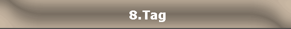  8.Tag